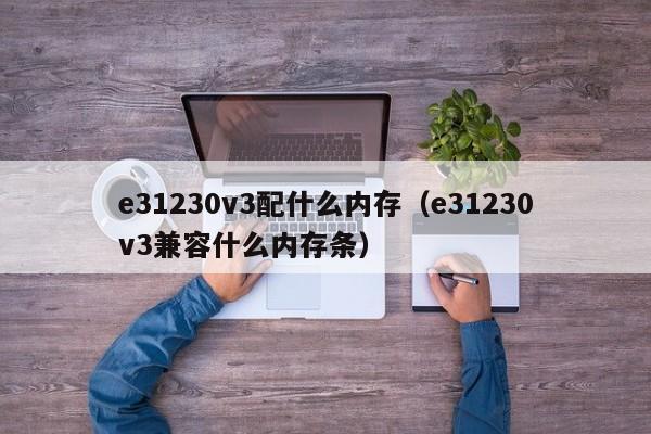 e31230v3配什么内存（e31230v3兼容什么内存条）