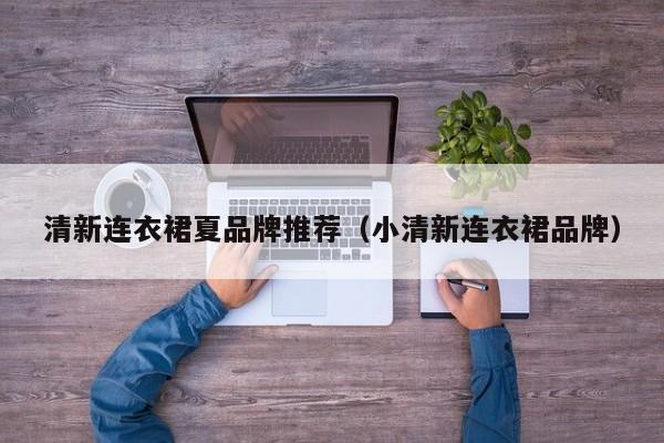 清新连衣裙夏品牌推荐（小清新连衣裙品牌）