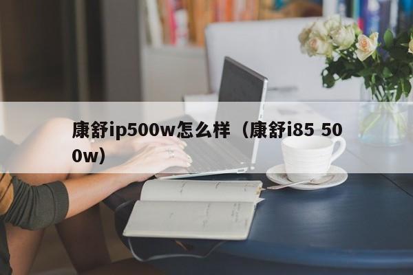 康舒ip500w怎么样（康舒i85 500w）