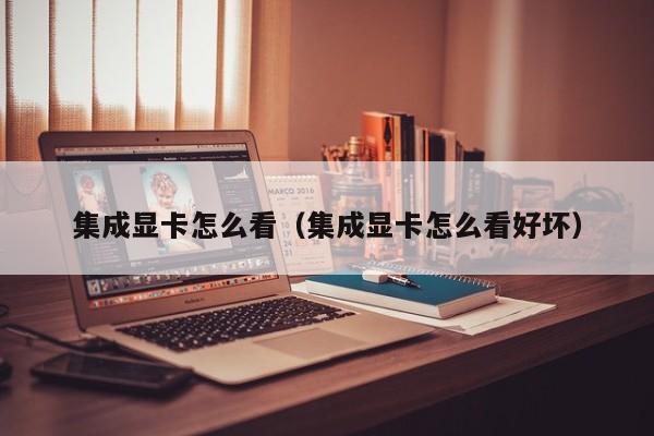 集成显卡怎么看（集成显卡怎么看好坏）