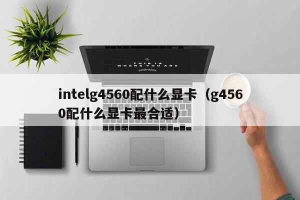 intelg4560配什么显卡（g4560配什么显卡最合适）