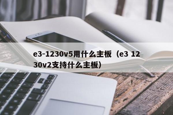 e3-1230v5用什么主板（e3 1230v2支持什么主板）