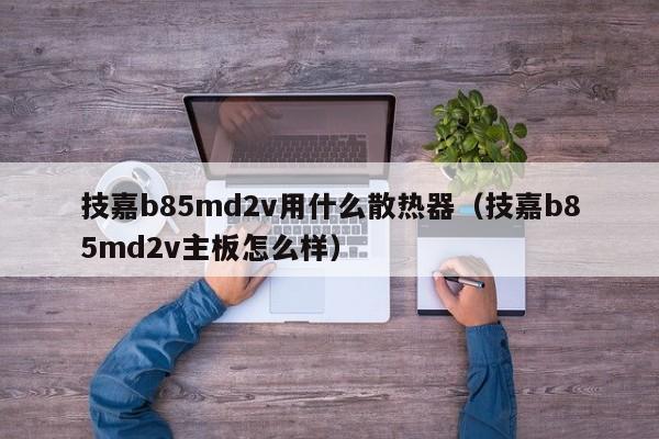 技嘉b85md2v用什么散热器（技嘉b85md2v主板怎么样）