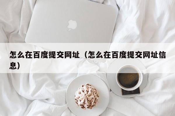 怎么在百度提交网址（怎么在百度提交网址信息）