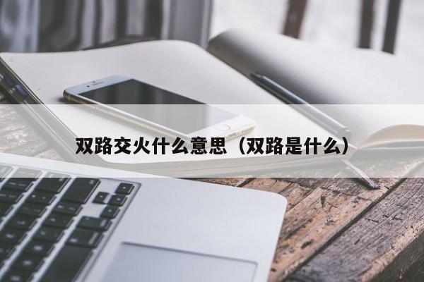 双路交火什么意思（双路是什么）