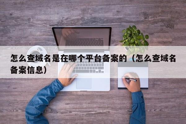 怎么查域名是在哪个平台备案的（怎么查域名备案信息）