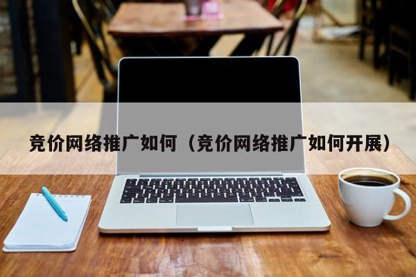 竞价网络推广如何（竞价网络推广如何开展）